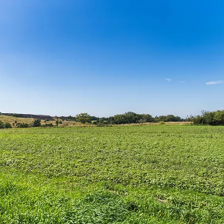 With Garden And Parking