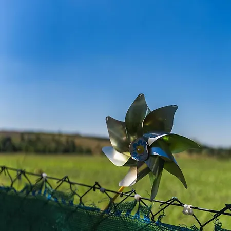 アパート With Garden And Parking ストゥパヴァ