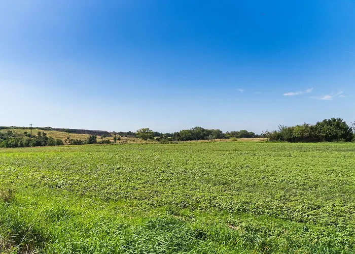 With Garden And Parking